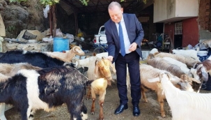 Kırsal Kalkınma Yatırımları Desteklenmesi başvuruları başladı