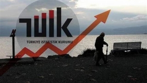 Türkiye'de işsizlik oranı açıklandı