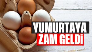 Yumurta fiyatlarına zam geldi