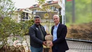 ALANYA BELEDİYESİ'NDEN ÇİFTÇİLERE KEÇİ BOYNUZU FİDANI DESTEĞİ