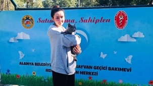 Alanya Belediyesi'nin sokak hayvanlarına desteği sürüyor