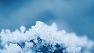 Alanya Kaymakamlığı'ndan zirai don uyarısı