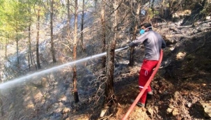 Gazipaşa'da orman yangını: 3 dönüm alan zarar gördü