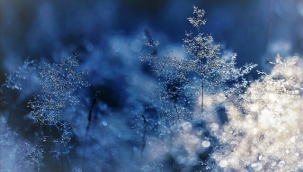 Meteoroloji'den Alanya için zirai don uyarısı