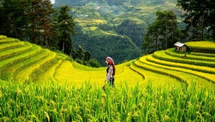 Tarım-ÜFE yıllık yüzde 29,89 arttı