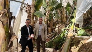 Alanya'da dolu felaketi: Seralar ve meyve ağaçları zarar gördü 