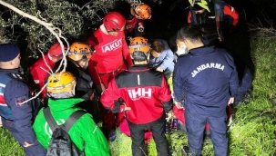 Alanya'da kaybolan 80 yaşındaki kadın gece ormanlık alanda bulundu