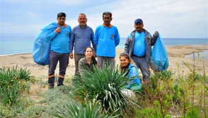 Alanya'da kum zambakları ve caretta carettalar koruma altında