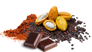 Çikolata tehlikede: 2030'a kadar tüm kakao ağaçları yok olabilir