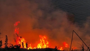 Gazipaşa'da muz bahçesinde çıkan yangın 5 saatte kontrol altına alındı   