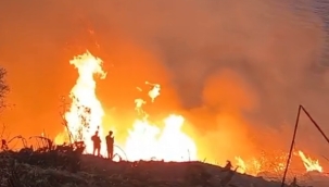 Gazipaşa'da muz bahçesinde yangın çıktı! Ekiplerin müdahalesi sürüyor