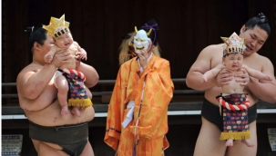 Japonya'da geleneksel 'Ağlayan Bebek Sumo' festivali (Nakizumo)