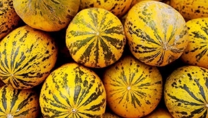 Kırkağaç Kavunu'na AB tescili