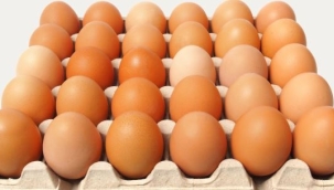 Yumurta fiyatları dört ayda yüzde 100 arttı.