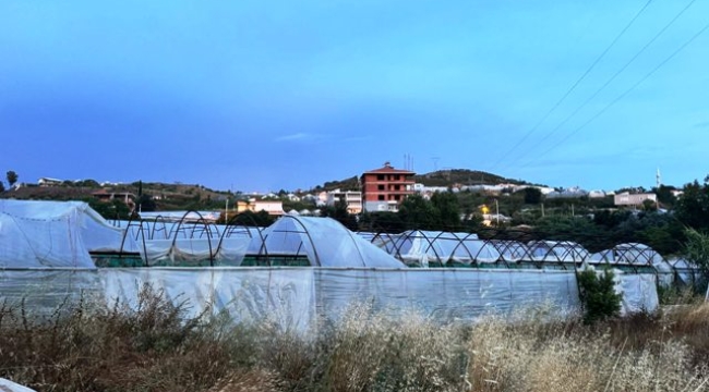Alanya'da dolu yağışı seraları vurdu