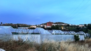 Alanya'da dolu yağışı seraları vurdu