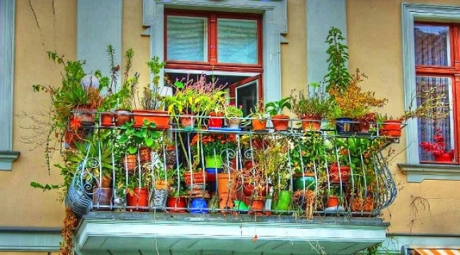 Alanya'da 'En Güzel Balkon Bahçe Yarışması' başvuruları devam ediyor