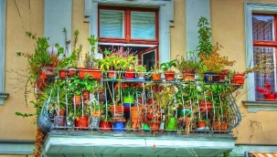 Alanya'da 'En Güzel Balkon Bahçe Yarışması' başvuruları devam ediyor