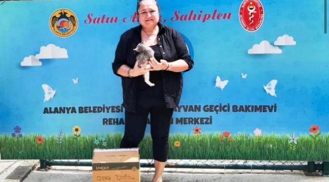 Alanya'da sokak hayvanları için örnek çalışma