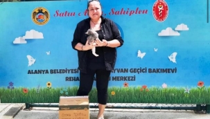 Alanya'da sokak hayvanları için örnek çalışma