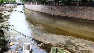 Alanya'da 'yüzen koltuk' şaşkınlık yarattı