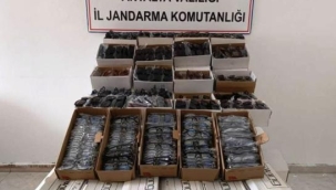 Gazipaşa'da araçta 3 bin kaçak gözlük ele geçirildi