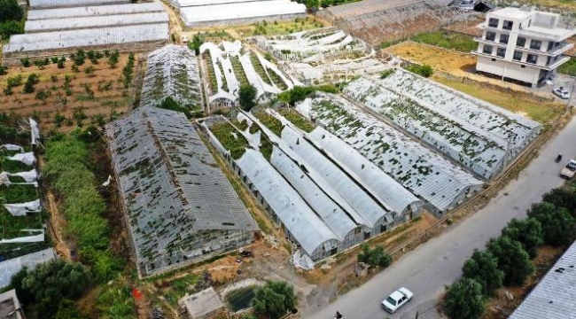 Gazipaşa'da hortum felaketinin boyutu gündüz ortaya çıktı