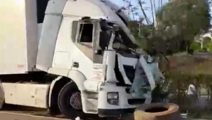 Gazipaşa'da TIR refüjdeki palmiye ağacına çarptı: 1 yaralı