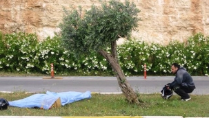 Motosikletli sağlık çalışanı genç trafik kazasında hayatını kaybetti