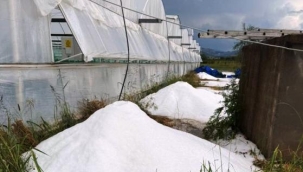 Serik'te sağanak ve dolu tarım arazilerine zarar verdi