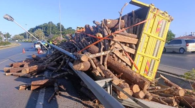 Tomruk yüklü kamyon bariyerleri aşıp refüje devrildi