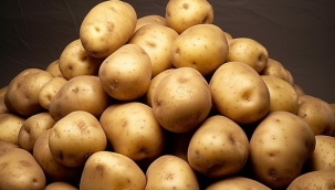 Türkiye'ye gelen 2 bin ton patates virüslü çıktı, geri gönderildi