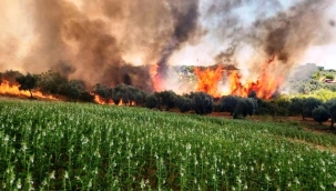Aksu'da ormanlık ve kırsal alanda çıkan yangın kontrol altına alındı