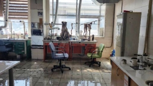 Alanya Ağız ve Diş Sağlığı Merkezi'nde yangında 4 kişi dumandan etkilendi