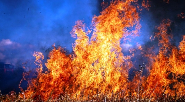 Alanya'da çalılık alanda yangın çıktı