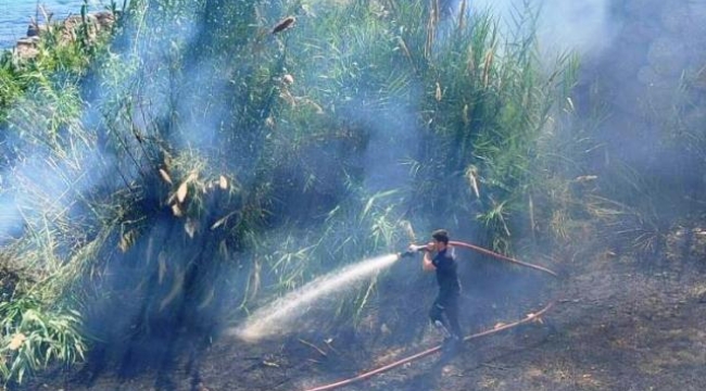 Alanya'da çalılık alandaki yangında 1 dönümlük alan zarar gördü