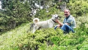 Alanya'da kamyon ile damper arasında sıkışan şoför yaşamını yitirdi