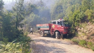 Alanya'da ormanlık alanda yangın çıktı