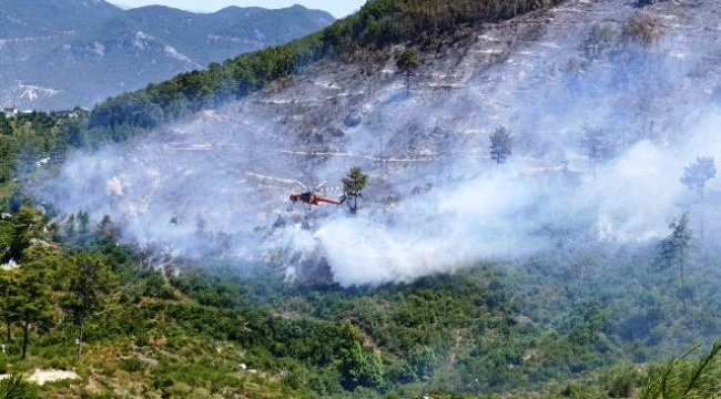 Alanya'daki orman yangını kontrol altına alındı: 12 hektar alan etkilendi