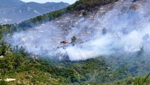 Alanya'daki orman yangını kontrol altına alındı: 12 hektar alan etkilendi