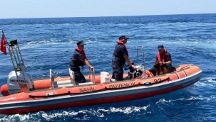 Alanya Kalesi'nde kayalık bölgede mahsur kalan dağ keçisi kurtarıldı