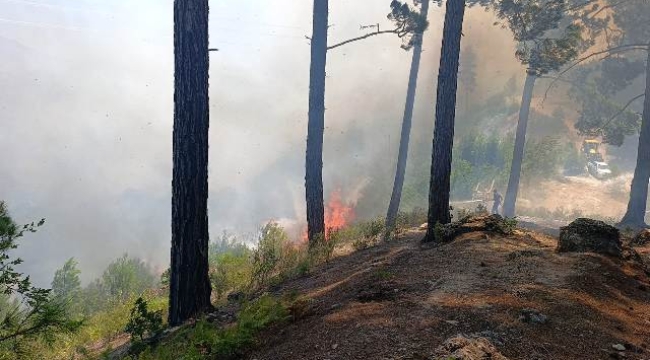 Alanya Kaymakamlığı'ndan mangal uyarısı  