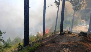 Alanya Kaymakamlığı'ndan mangal uyarısı  
