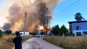 Antalya'da ormanlık alanda yangın 