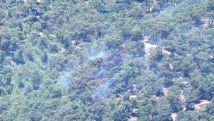 Antalya'daki orman yangını kontrol altına alındı