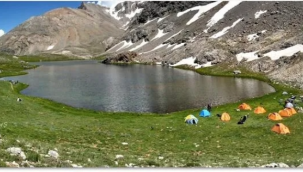 Bolkar Dağları'nın sessiz sakinleri, ötmeyen Toros kurbağaları