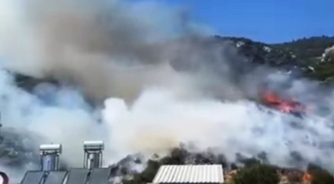 Finike'de orman yangını