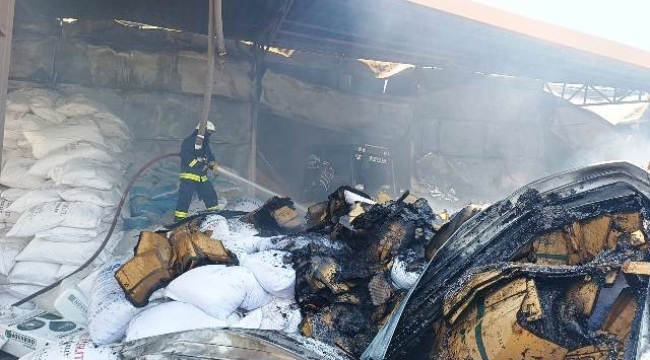 Gazipaşa'da fide üretim tesisinde çıkan yangın 2 saatte söndürüldü