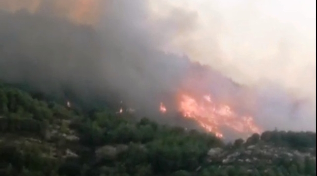 Gazipaşa'da orman yangını çıktı