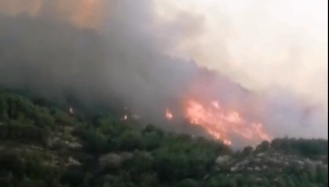 Gazipaşa'da orman yangını çıktı